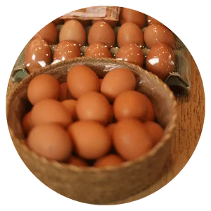 Ovos