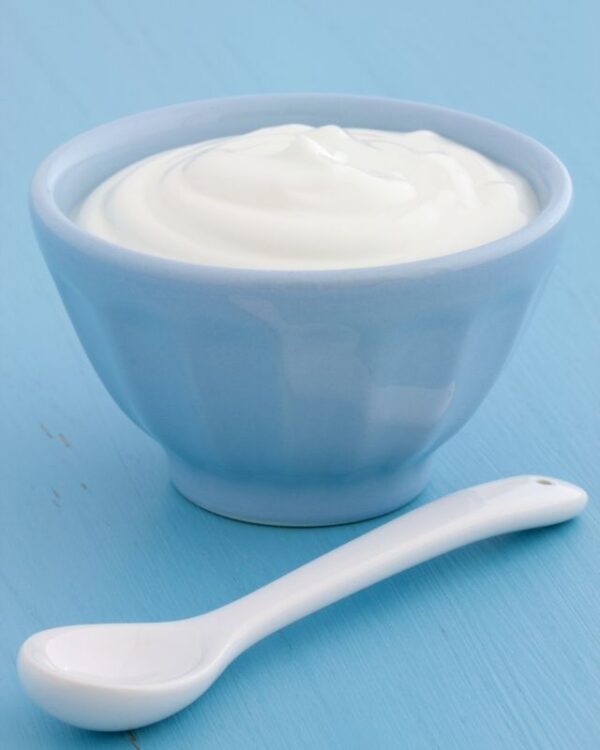 Iogurte Natural Integral 500g - Laticínios Holandês