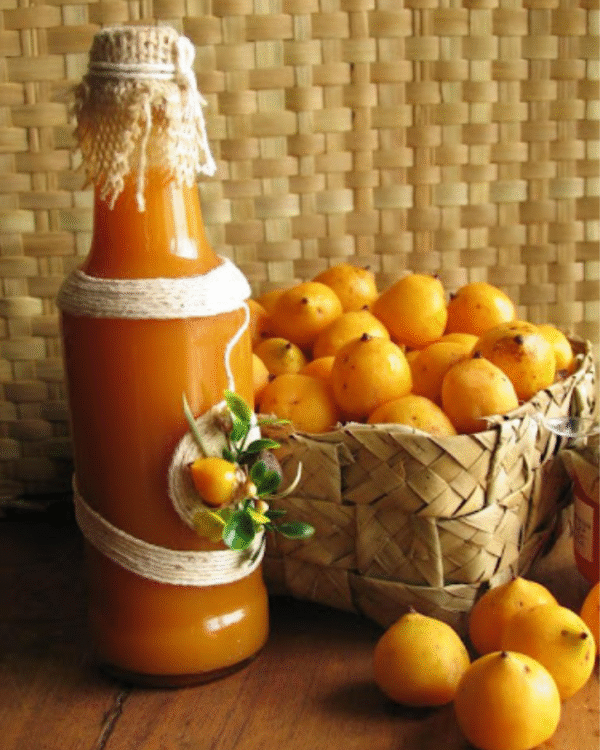 Polpa de Butiá 100g - Sabor da Fruta Sul