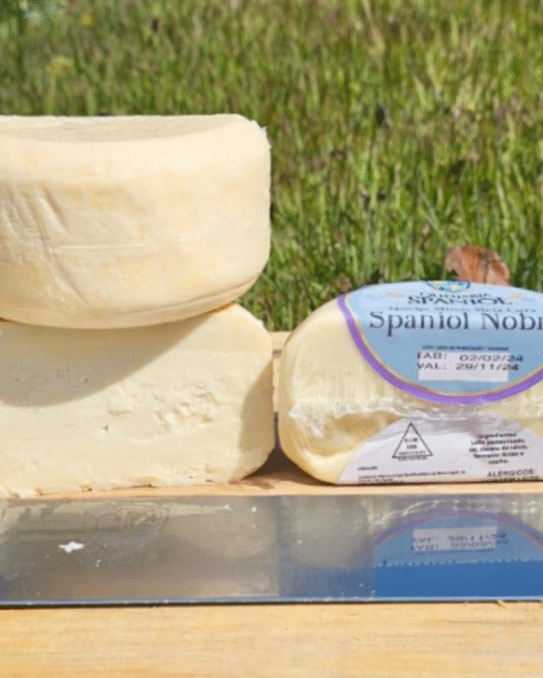 Queijo Spaniol Nobre - Queijaria Spaniol