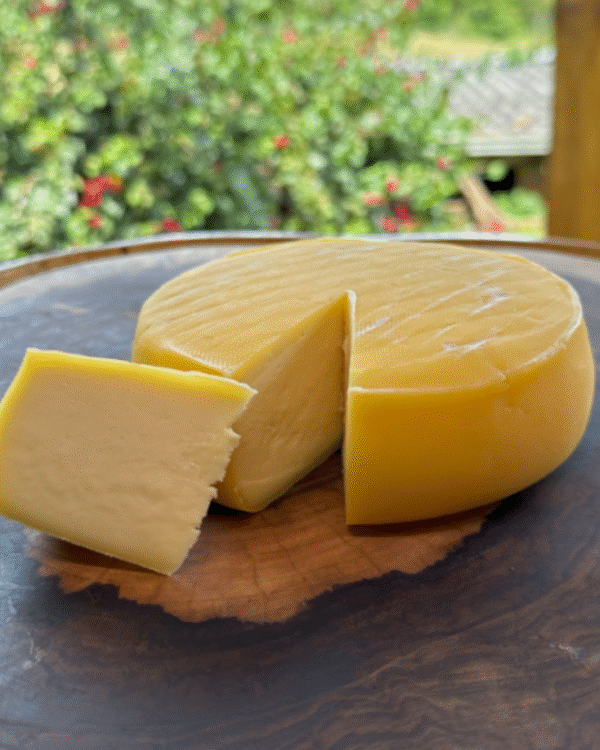 Queijo Colonial Zero Lactose - Laticínios Geração